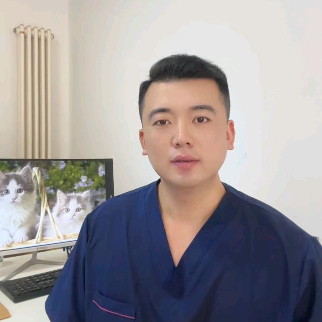 大磊爱养猫