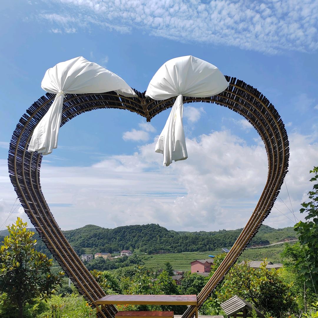 创新驾校（教练）敖叶