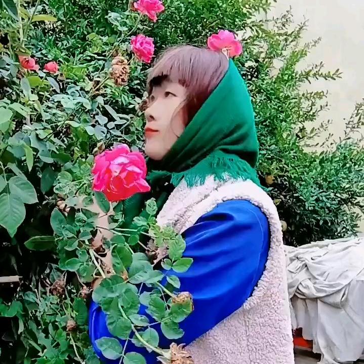 乡愁记忆