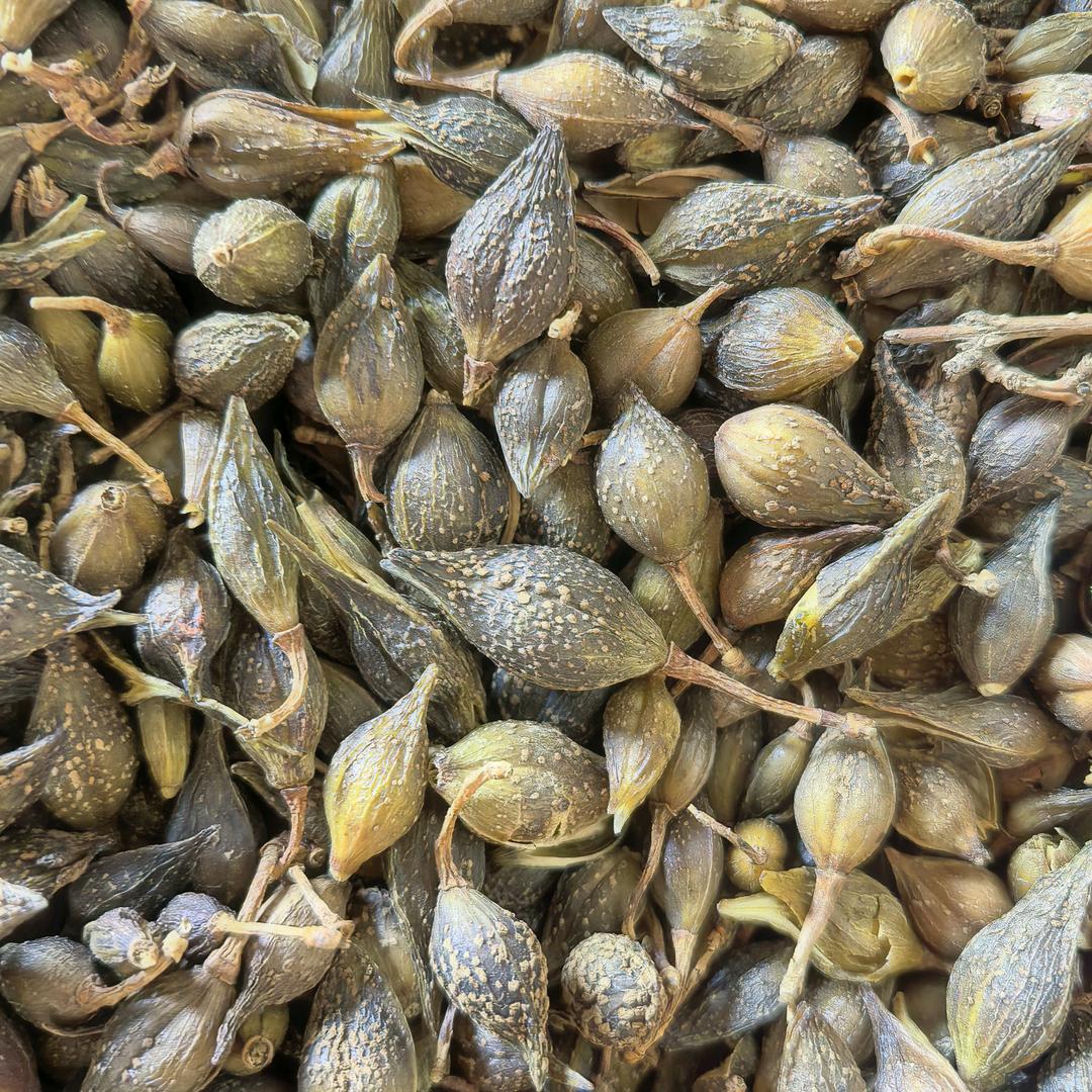 张少家草堂（农副产品）