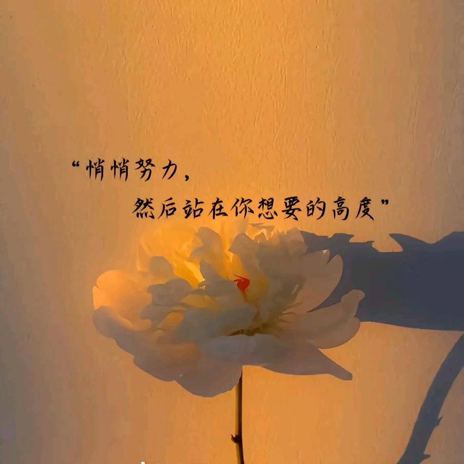 /七 安/自律自律