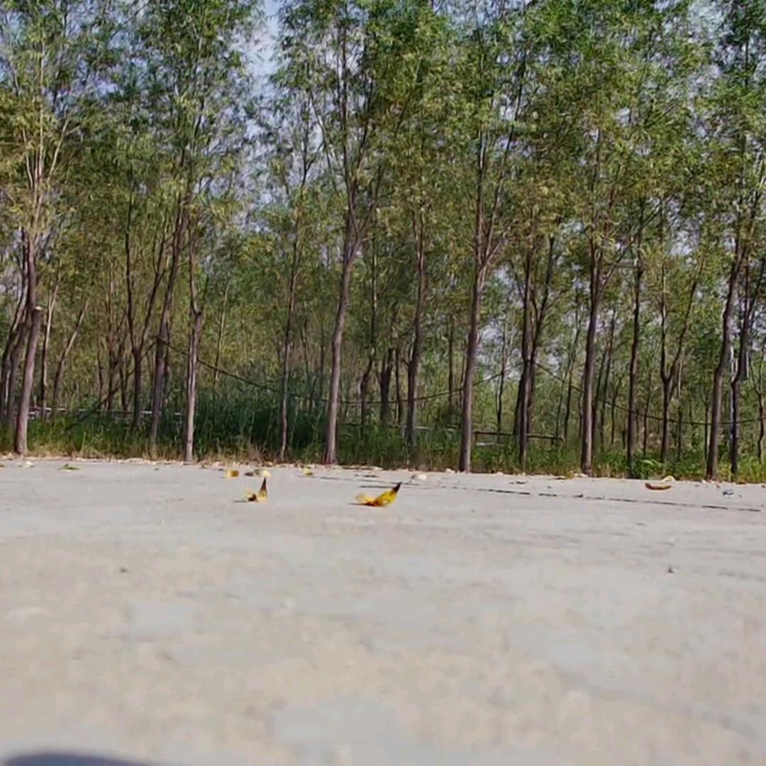 ！文天考场 ！刘教练