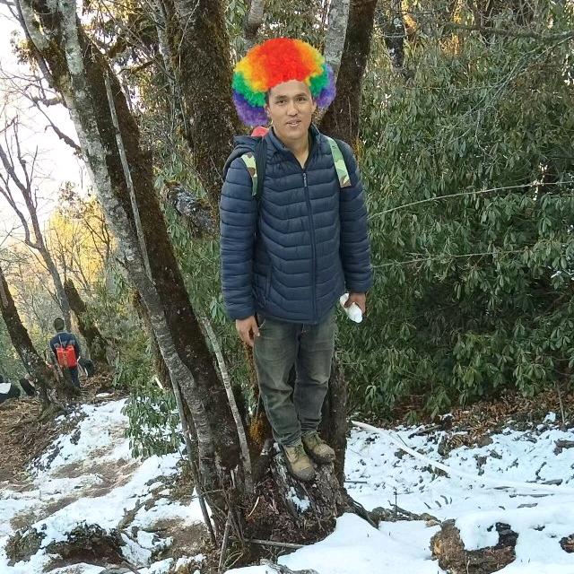 一叶暴付
