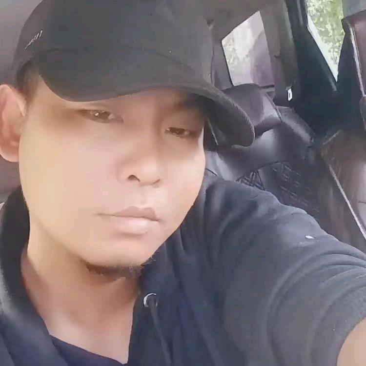 雁南飞
