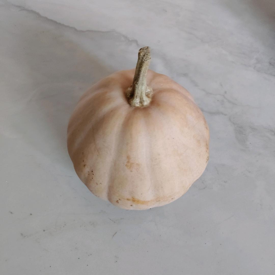 艺沁好物橱窗