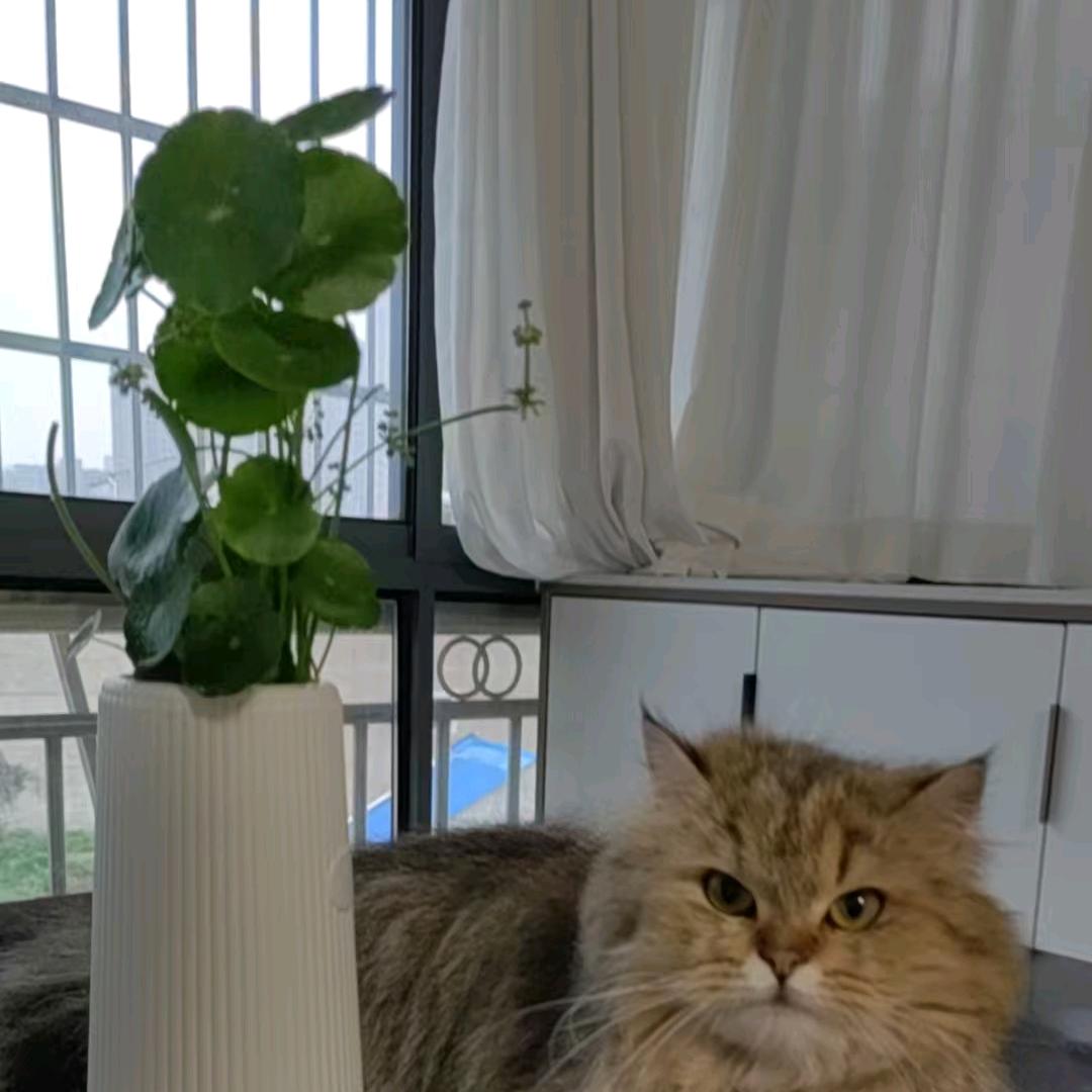 🦋ꦿ໊温暖᭄🕊四季᭄ꦿᩚ٭