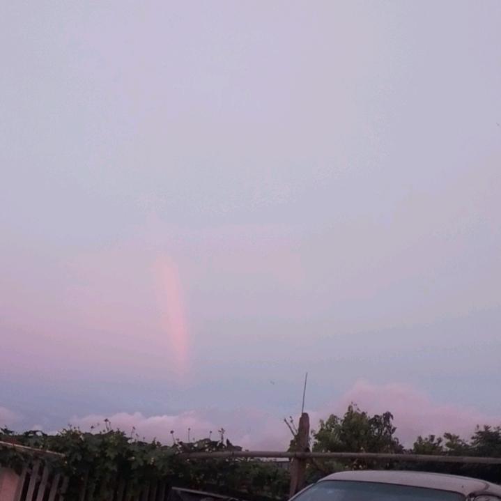 贾贾真踏雪寻挴