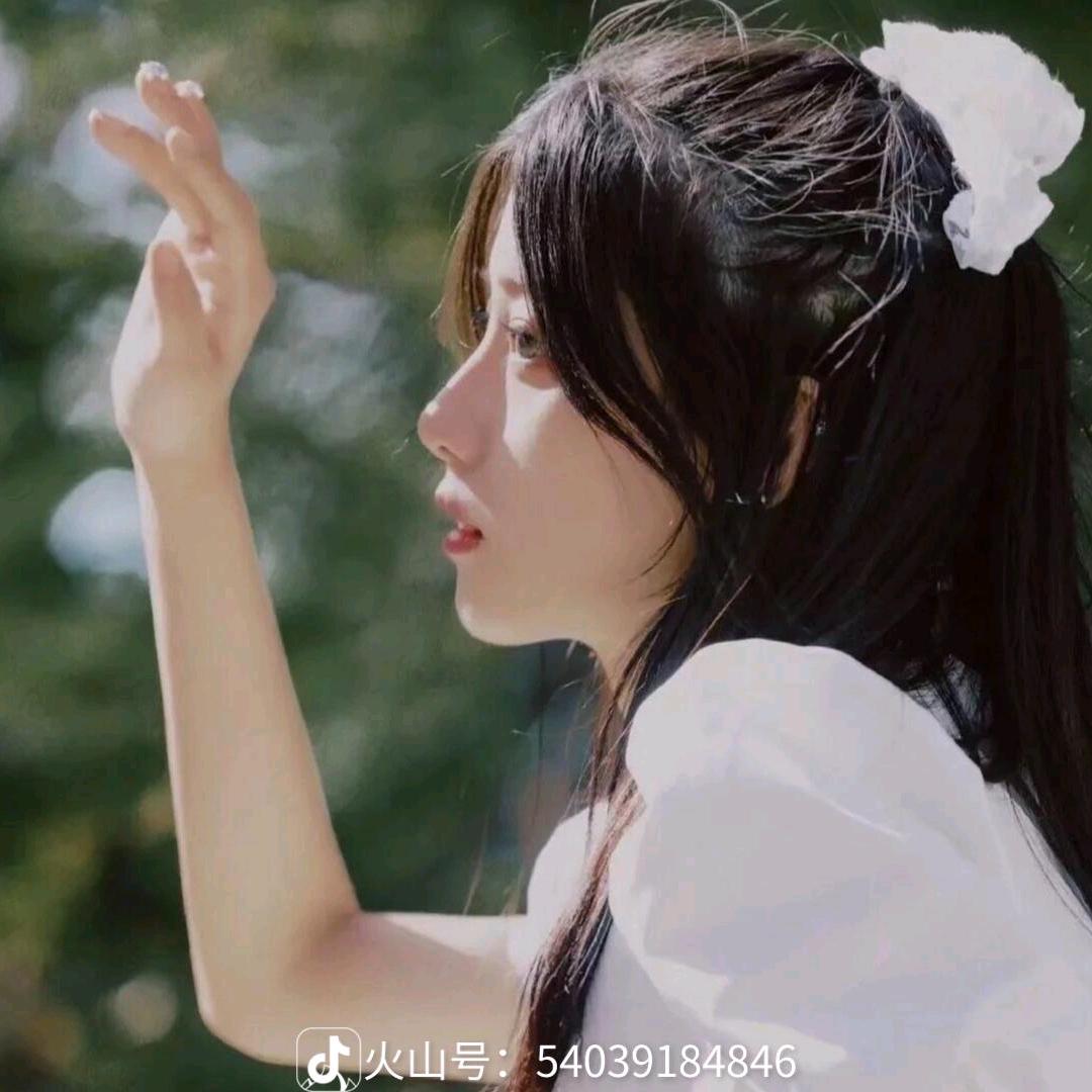 柠檬熊熊