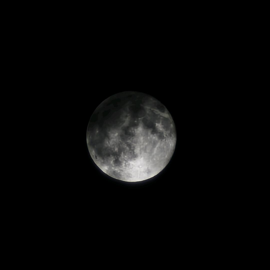 沐风(三角洲行动)