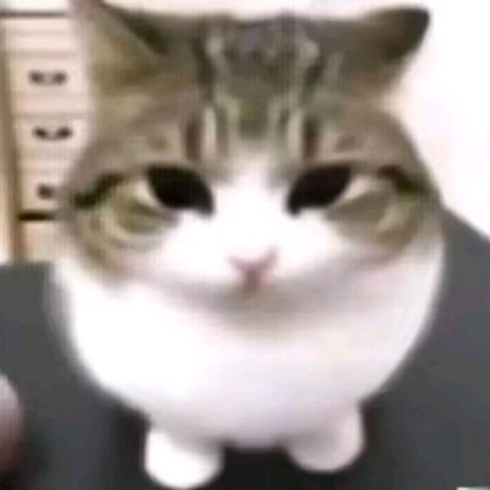 小葵米