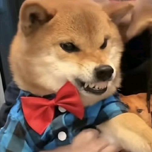 明