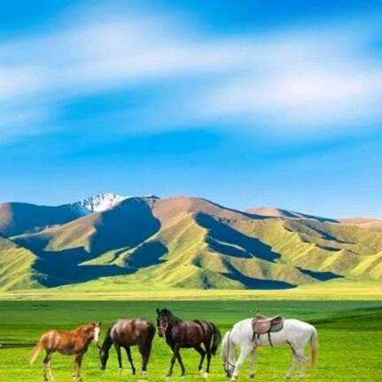 爱丽丝的梦 ✨👑