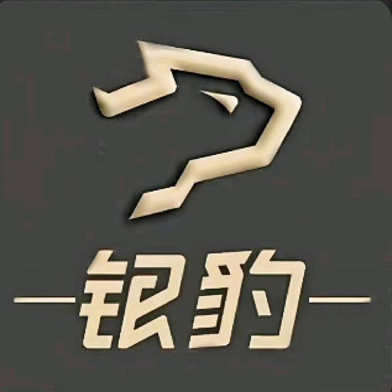 银豹系统服务商