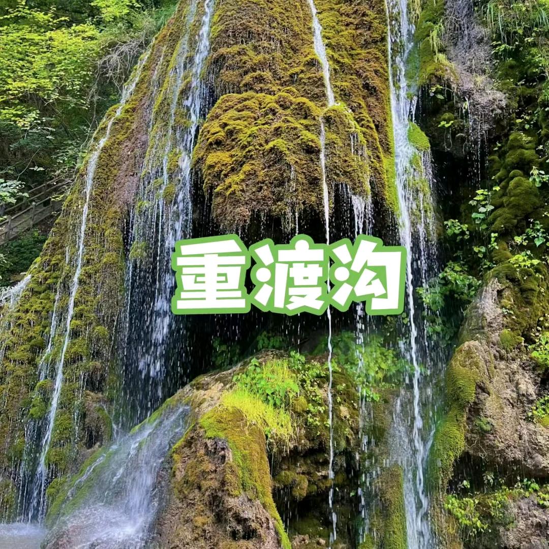 重渡沟福利号