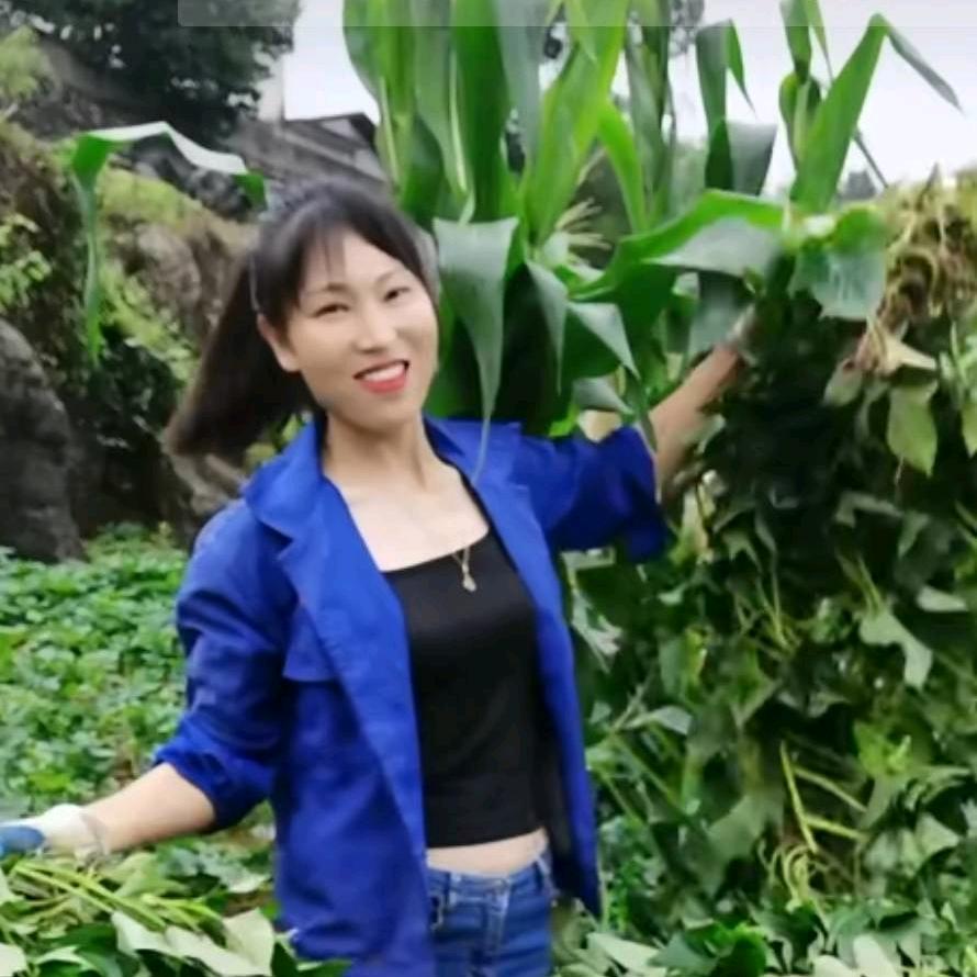 再苦再累也要笑着面对的贵州姑娘