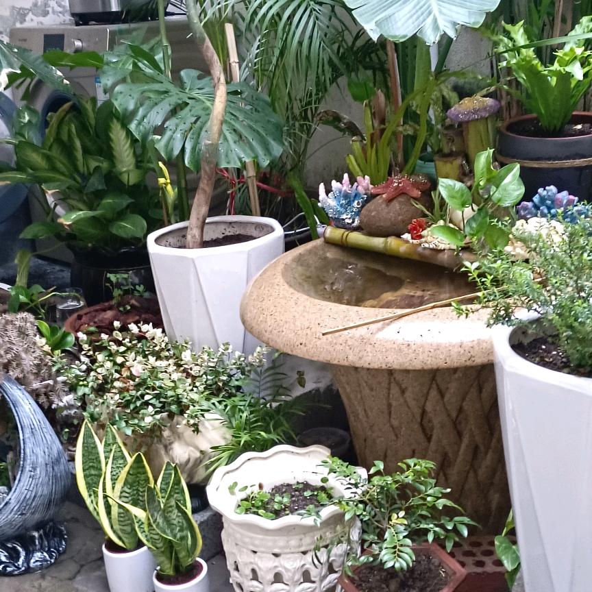 (•‿•)玲珑小女人༆\