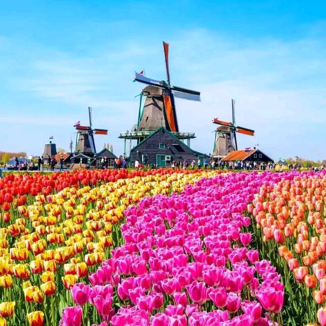 薛汝魁（拒绝私聊）