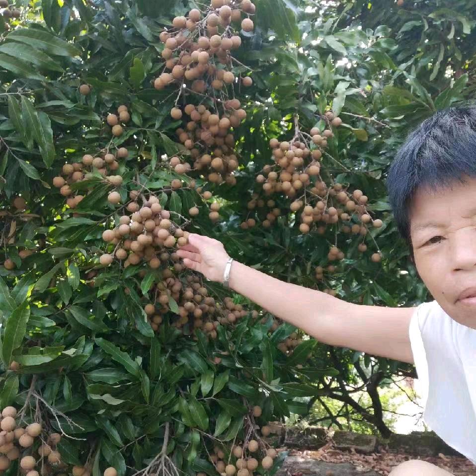 <快乐人生ABc>