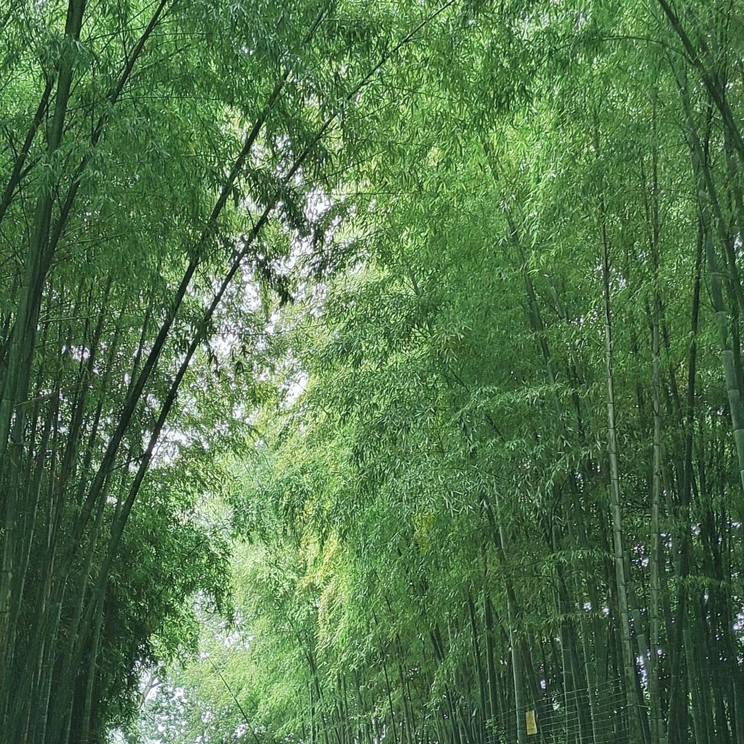 学哥