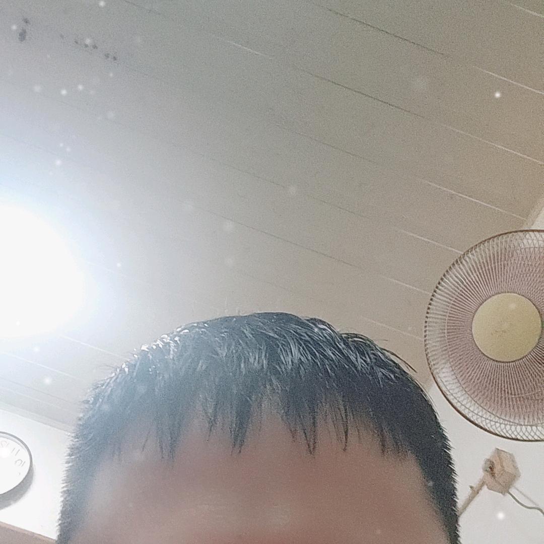 苍松