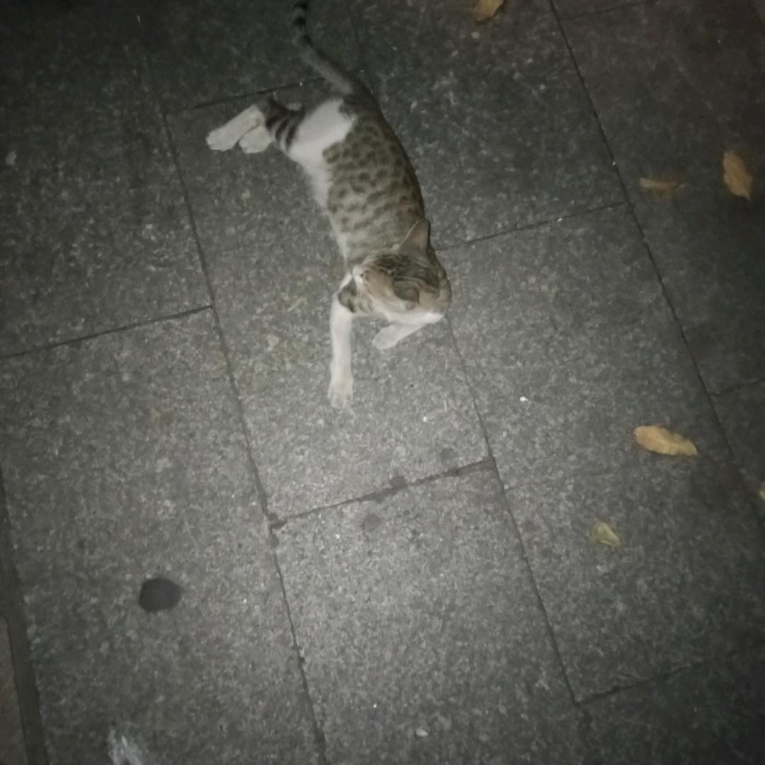 我是长痛不如短痛