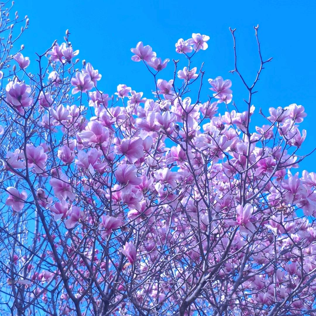 涵涵姐