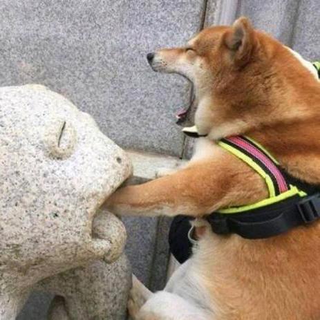 等风也等妳