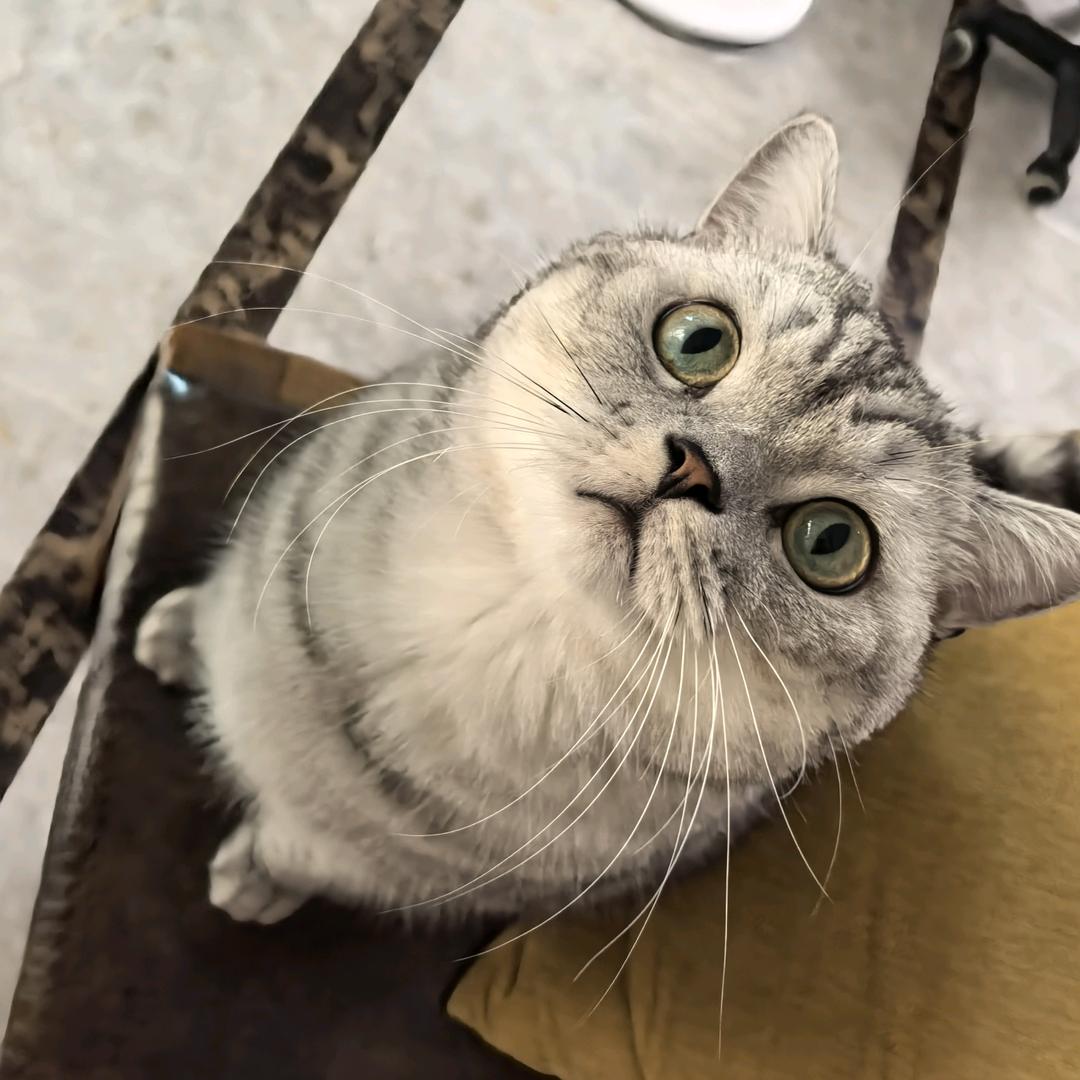 火子蜜都优品店