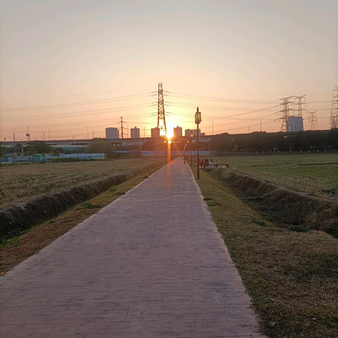正芳莹