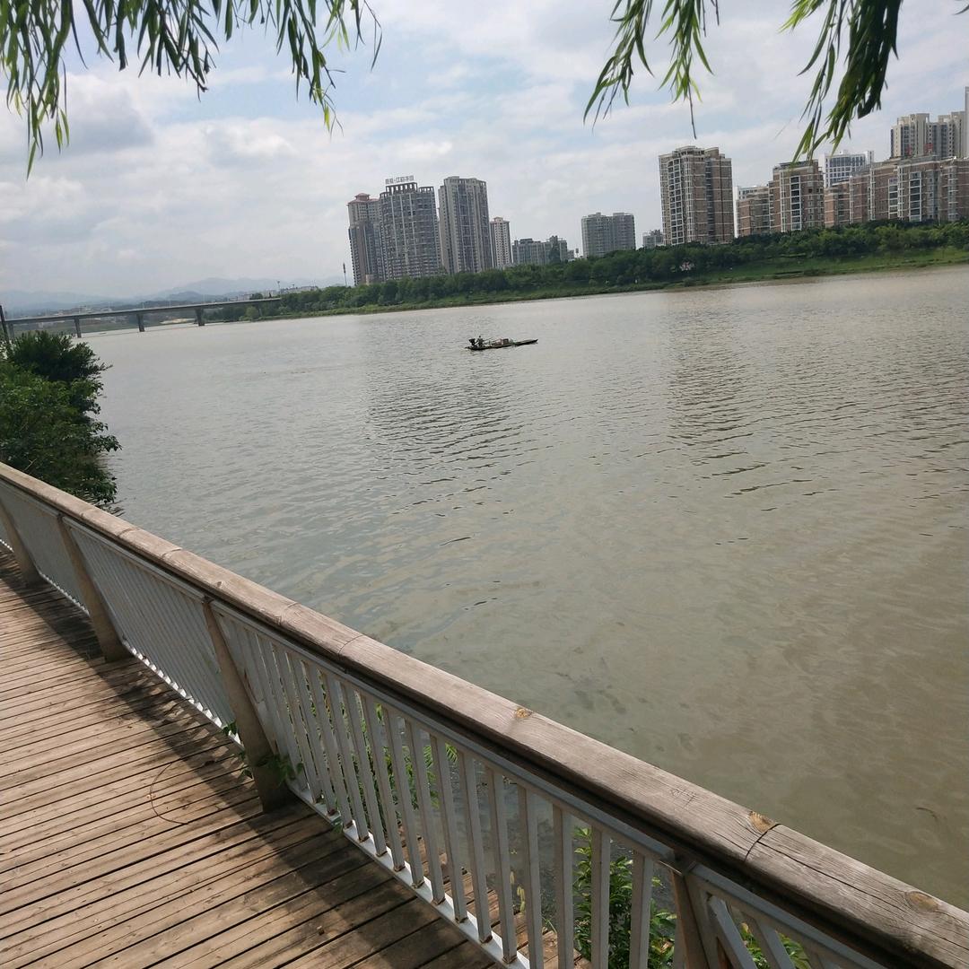 小君心慧眼