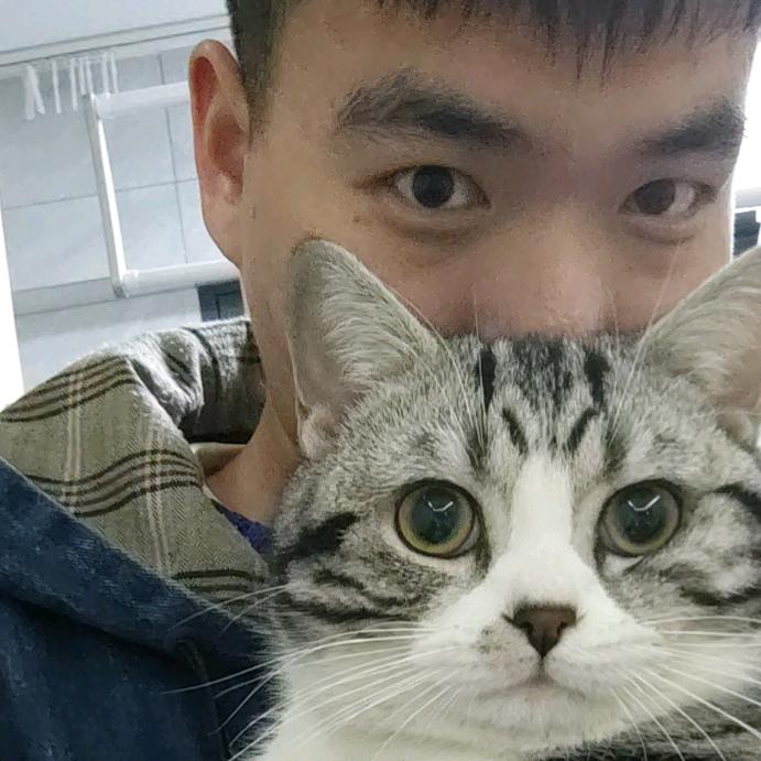 白日做梦的河马