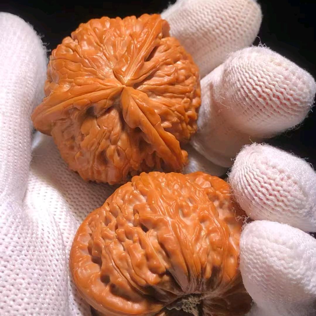 不忘初心，方得始终。