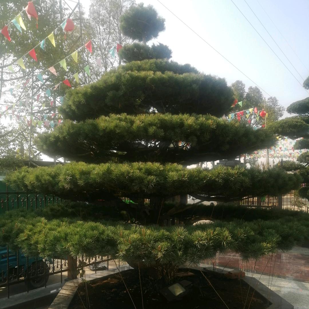 腾达五金工具1