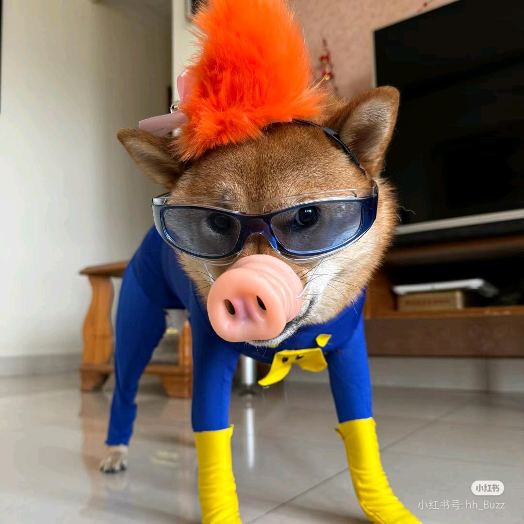 啊边的快乐生活