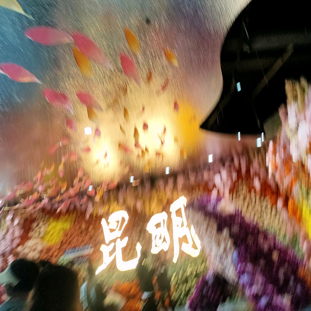 燕子