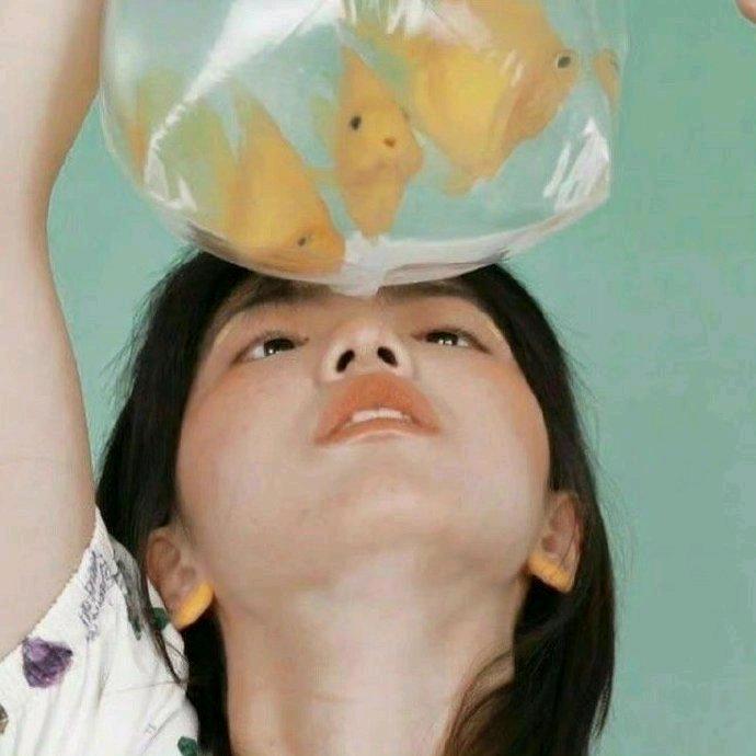 胖虎又又又又咬我😭