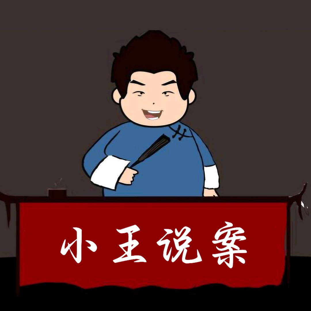 小王说案