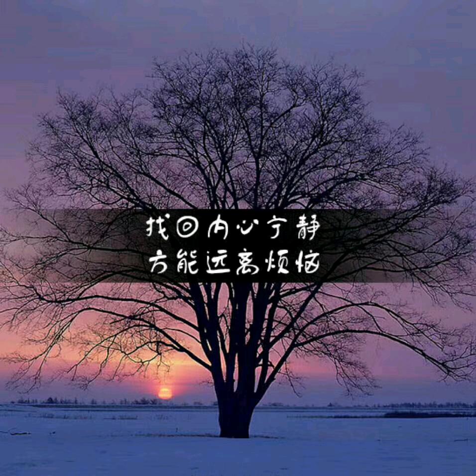 小鱼儿（谢绝三连赞）