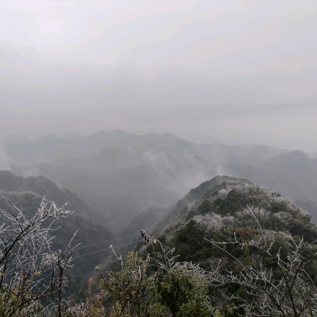 未来可期