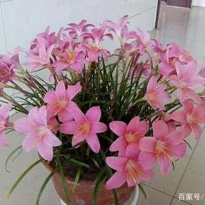 安然无恙🍒🍒