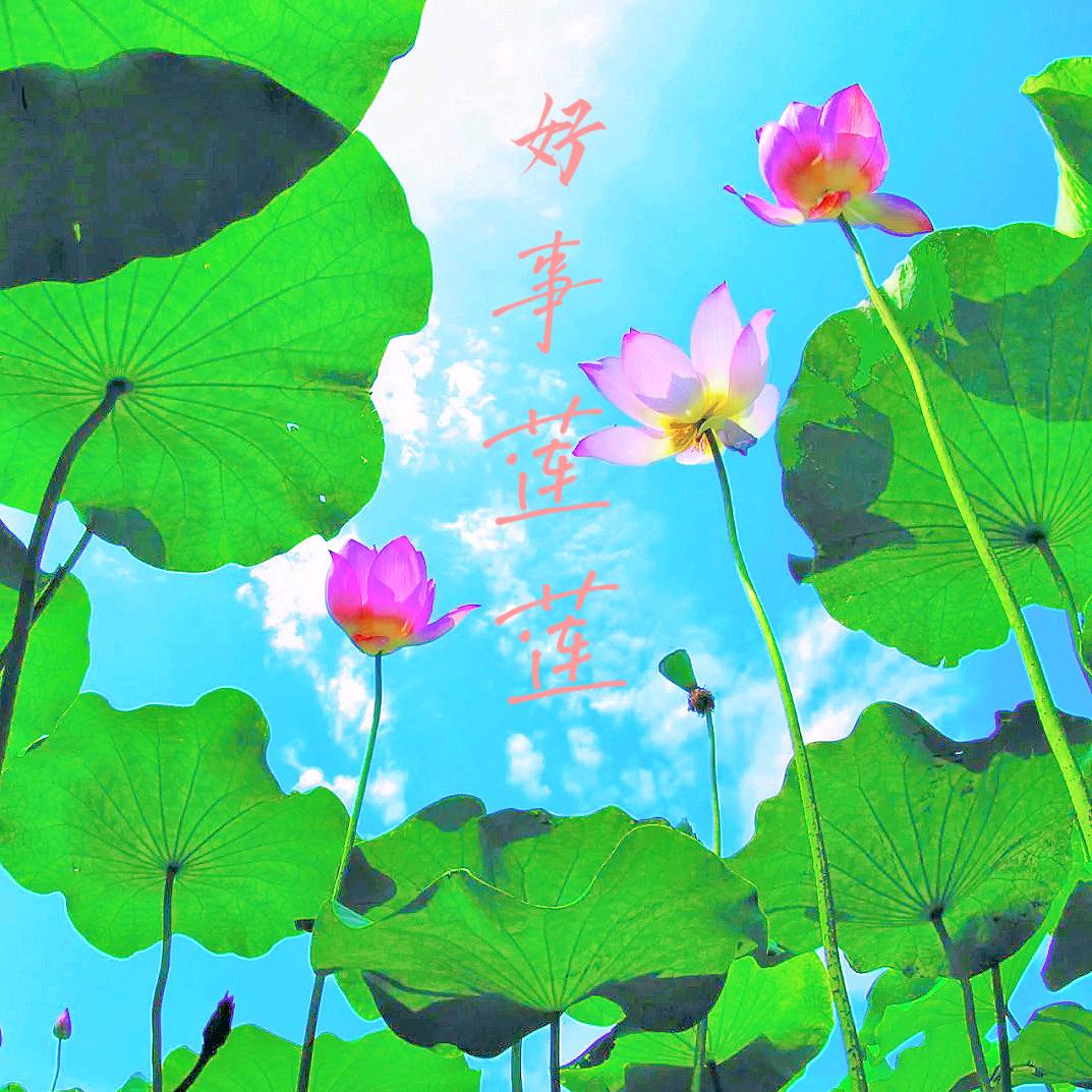 醉月