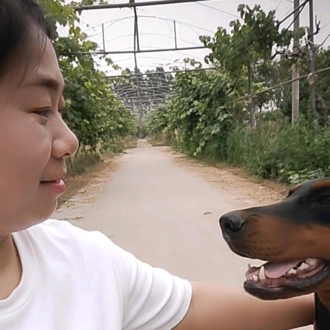 新农人“张庄主”