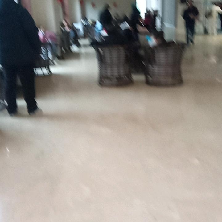 俊豪