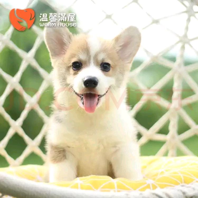 好运加满