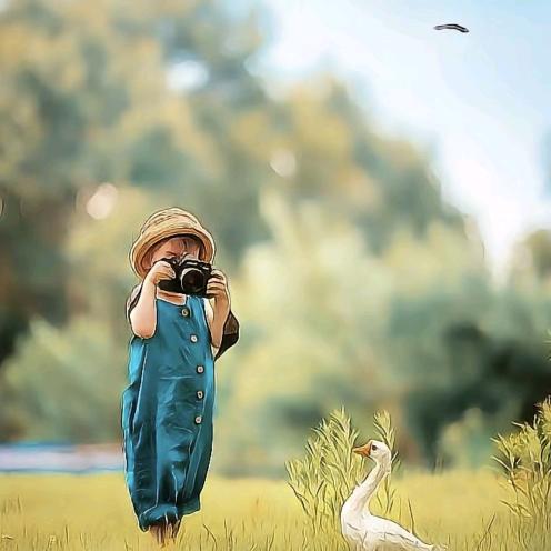 不会摄影的小歪