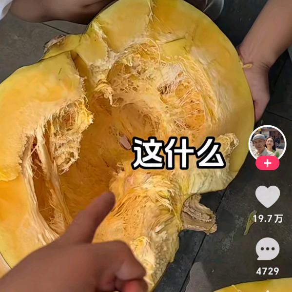礼拜一