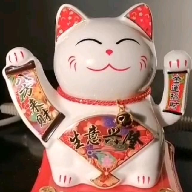 小寒猫