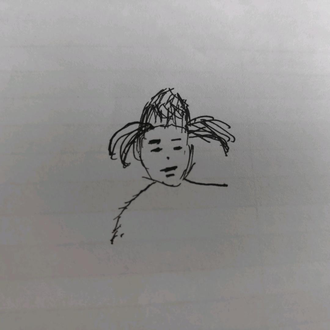 会跑的大盘鸡