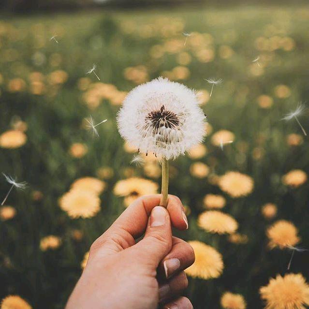 🍀仅此🌸而已🍀