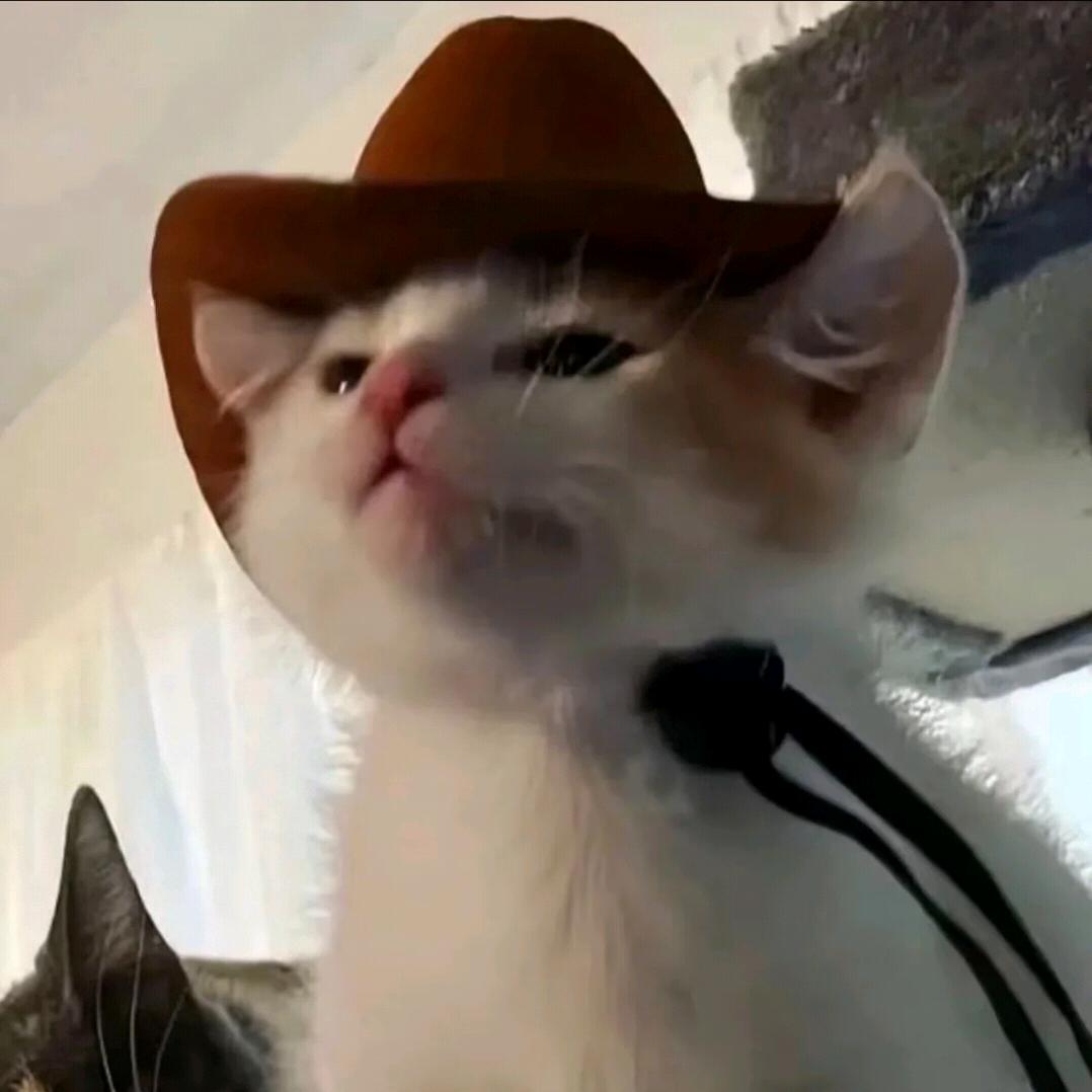 睡到自然醒（见过朋朋两次版）